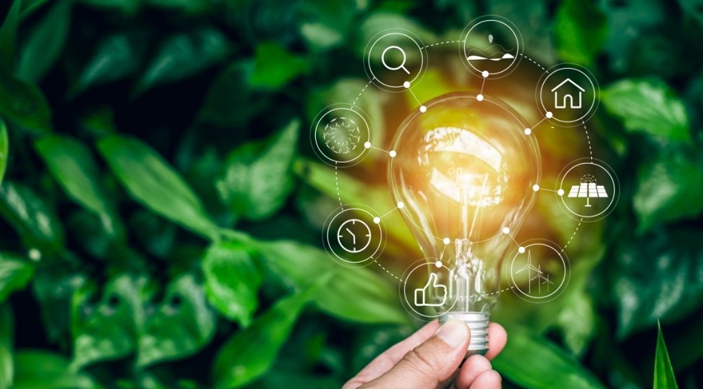 How eco friendly is your favorite brand examples