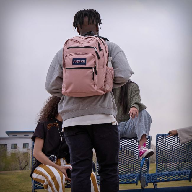 JanSport everyday computer backpack featuring dual compartments, ergonomic shoulder straps, and haul handle